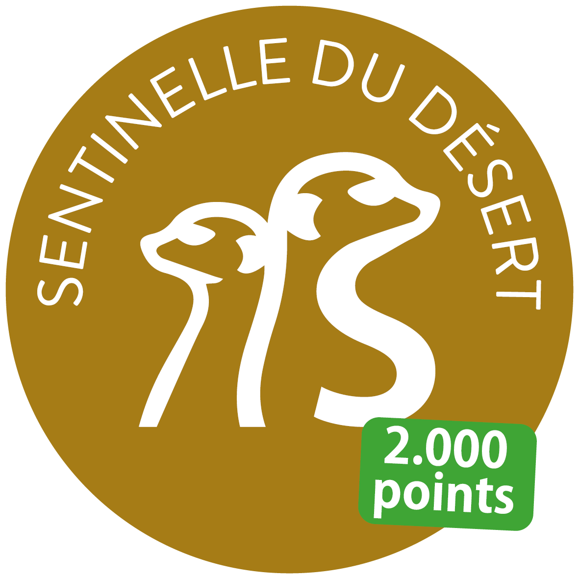 Sentinelle du désert